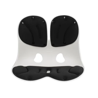 HOME LIVING STYLE เบาะรองหลัง ERGONO 17x13.5 นิ้ว สีดำ จัดส่งโดย HomePro