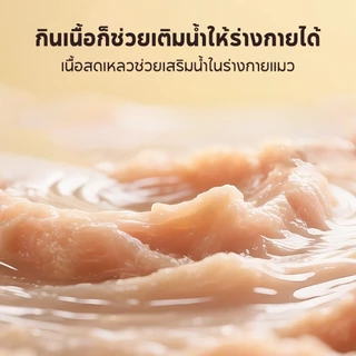 อาหารแมวเปียก40g ขนมแมวเลีย ของกินเล่นแมวอาหารแมว อาหารสุดโปรดของแมวอ าหารแมวเนื้อแท้ 98%