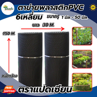 ตราแปดเซียน ตาข่ายพลาสติก ตาข่ายหกเหลี่ยม สีดำ กว้าง 1.50ม.x…