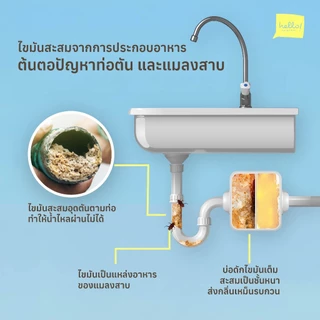 Engrease เม็ดเอนไซม์ชีวภาพสำหรับย่อยสลายไขมันและแก้ไขปัญหาอ่างล้างจานอุดตัน ช่วยแก้ซิงค์ตัน แก้ท่อตัน ไร้สารเคมี