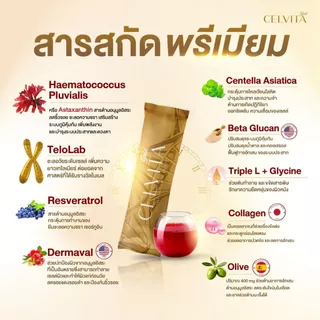 Celvita Gold อาหารเสริมย้อนวัย สารสกัดพรีเมียม