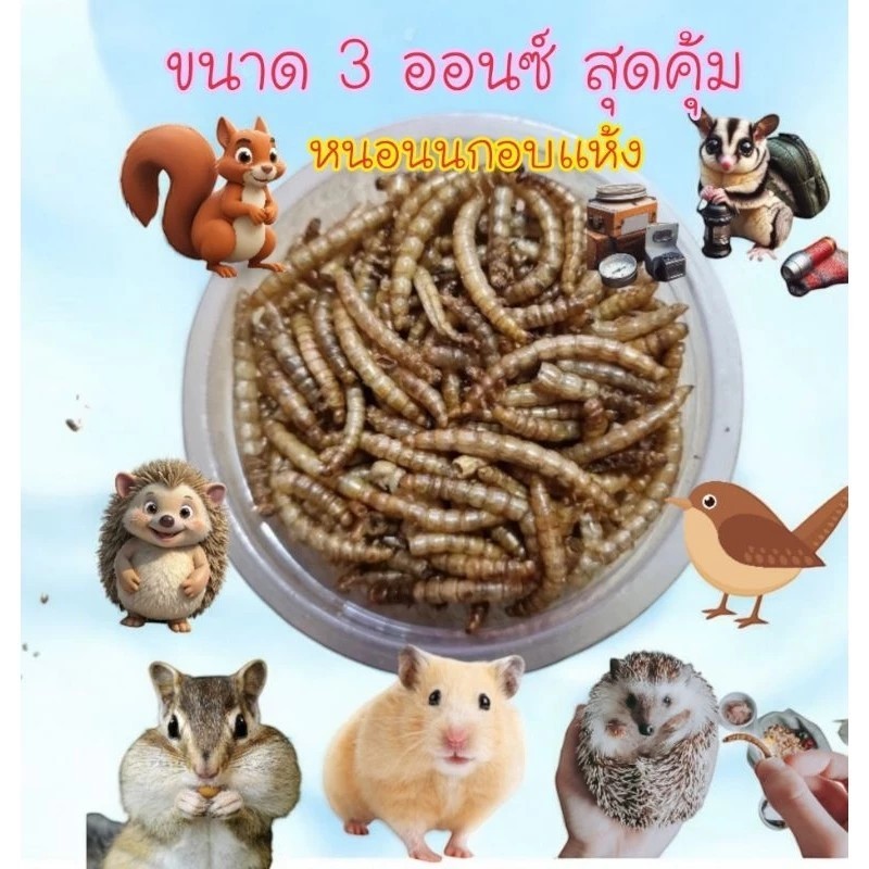 หนอนนกอบเเห้ง  โปรตีนสูง ขนาด 3 ออนซ์ สำหรับสัตว์เลี้ยง ส่่งด่วนทุกวัน ราคา ถูกที่สุด ดีลบีเคเค แกลเลอรีภาพที่ 2