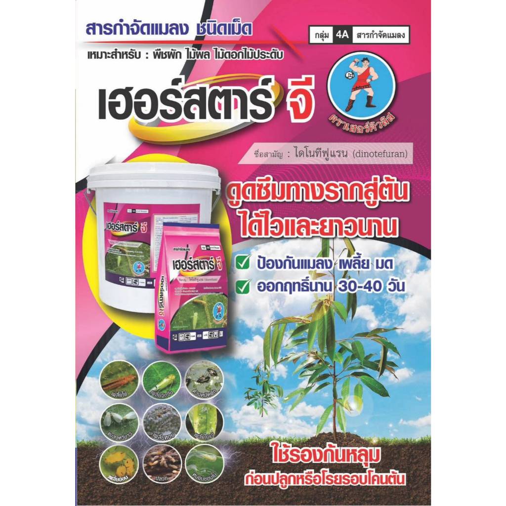 ยกถัง เฮอร์สตาร์จี ไดโนทีฟูแรน 1% GR ขนาด 10 กิโลกรัม สารกำจัดแมลงชนิดดูดซึม สตาร์เกิลจี