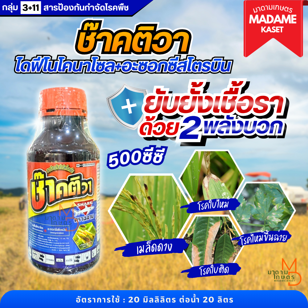 ยกลังx12 | ช๊าคติวา 500 ซีซี (ไดฟีโนโคนาโซล12.5%+อะซอกซีสโตรบิน20%) ยับยั้งโรคเชื้อราแบบ 2 พลัง