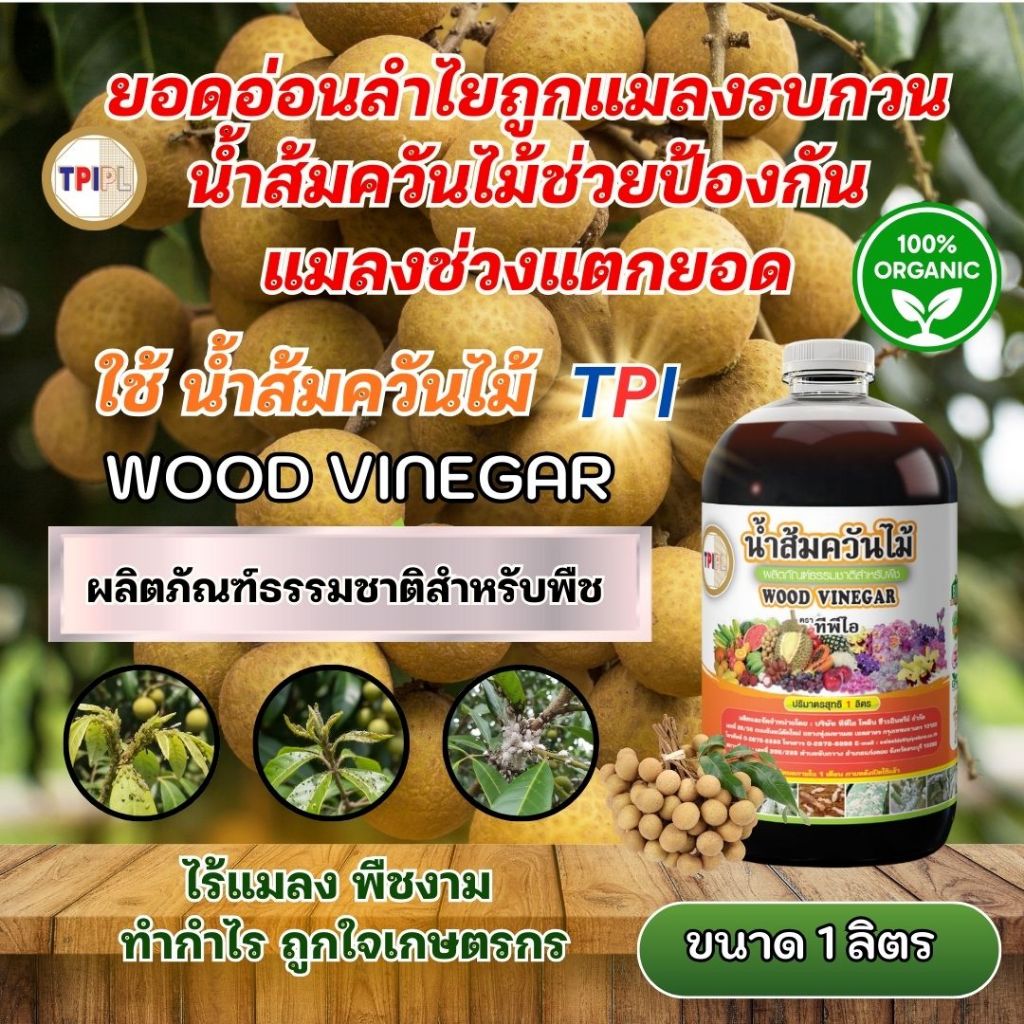 ยอดอ่อนลำไยถูกแมลงรบกวน  น้ำส้มควันไม้ช่วยป้องกันแมลงช่วงแตกยอด แก้ปัญหาด้วย น้ำส้มควันไม้ TPI