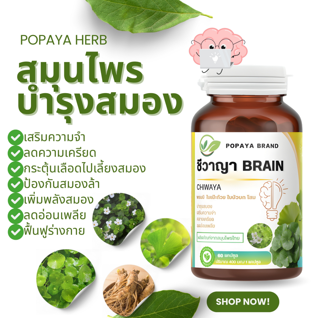 ชีวาญา brain บำรุงร่างกาย นอนดึก ไม่สดชื่น เมื่อยล้า