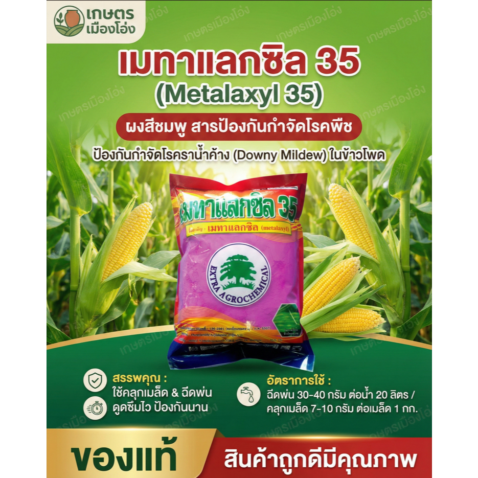 เมทาแลกซิล 35 1กก สารกําจัดเชื้อาประเภทดูดซึม ออกฤทธิ์ป้องกันและรักษาโรคพืช เช่น โรครากเน่า โรคลําต้นดํา  #เอ็กซตร้า