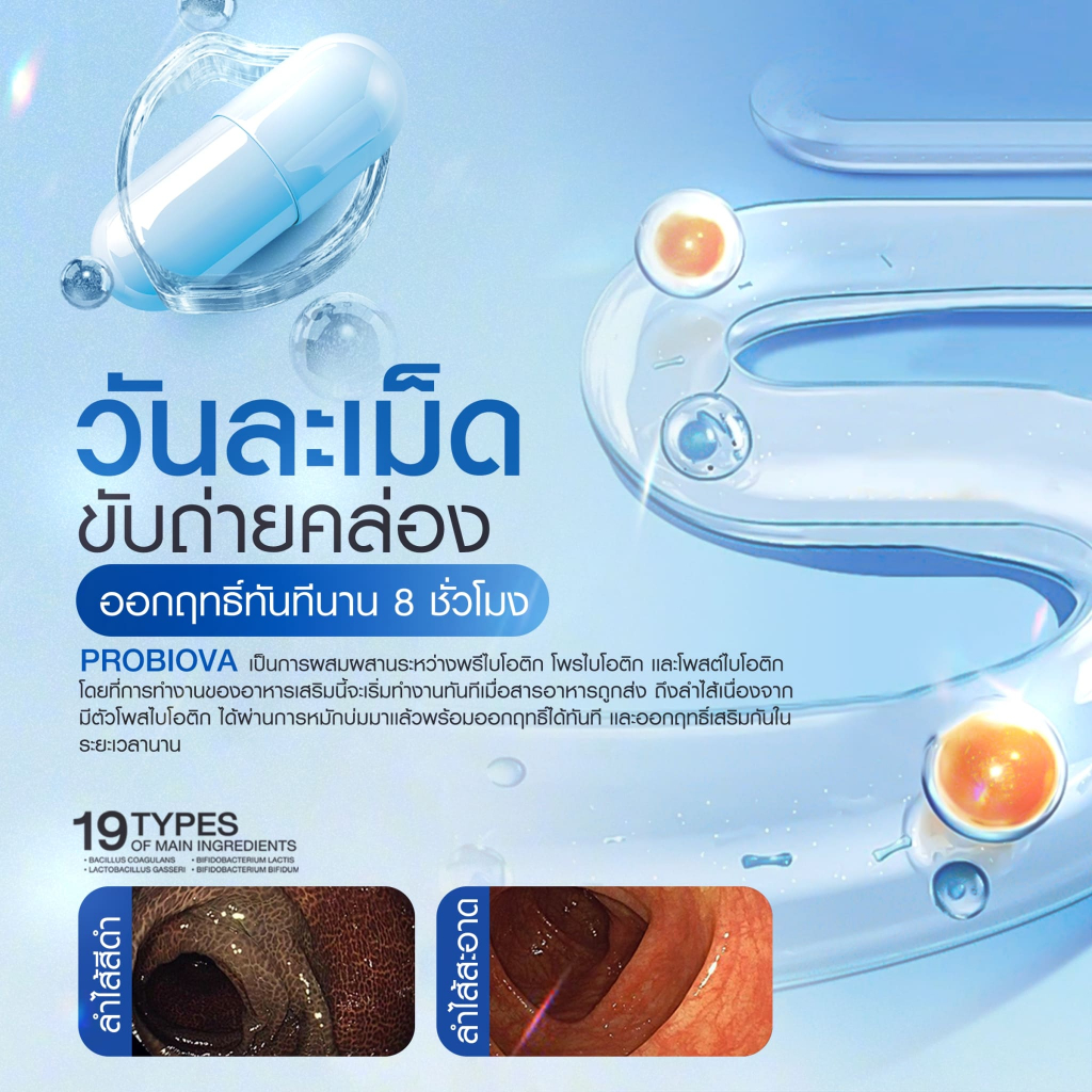 PROBIOVA (โปรคุ้ม 1แถม1) โพรไบโอติก ช่วยดีท็อกซ์ลำไส้ ไม่ปวดบิด เสริมจุลินทรีย์ดี แก้ท้องผูก ถ่ายไม่สุด อึแข็ง ราคา ถูกที่สุด ดีลบีเคเค แกลเลอรีภาพที่ 7