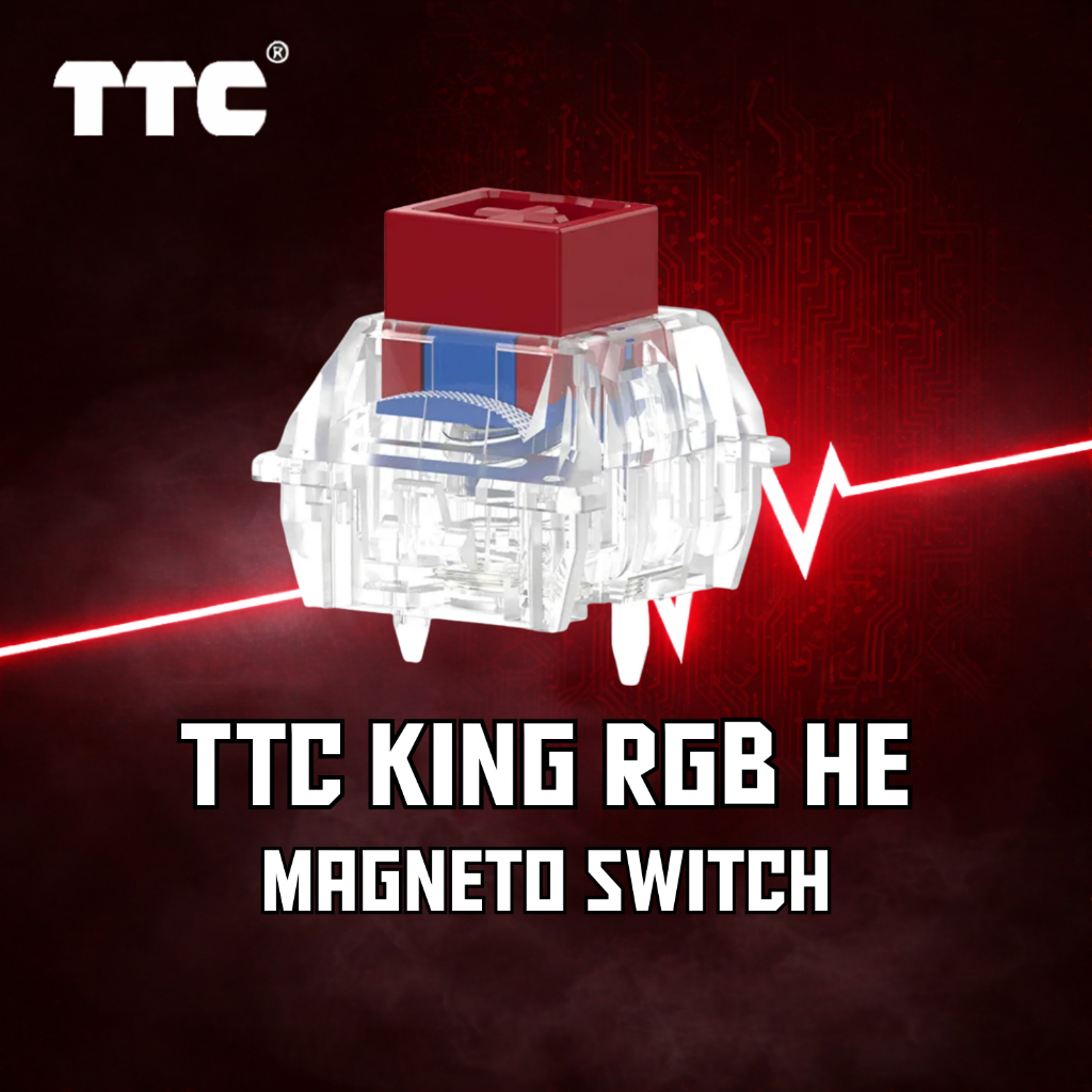 (พร้อมส่ง) สวิตซ์ TTC RGB King (10 ตัว) / Magnetic Switch / สวิตซ์คีย์บอร์ด HE
