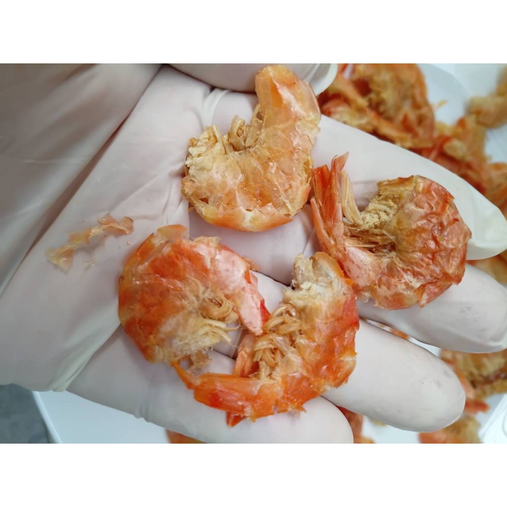 กุ้งแห้งแบบกะเทาะเปลือก❣️ขอแนะนำ (ขนาดไซส์เหรียญ 5 เหรียญ 10) เค็มน้อย ✅️ทานเล่นได้ จ.สตูล