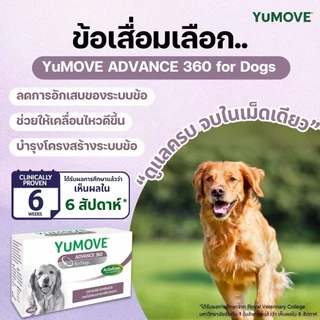 Lintbell Yumove advance 360 Dog แพ็คเกจใหม่ (แบ่งขาย) บรรจุแผงละ 20 เม็ด อาหารเสริมบำรุงข้อ กระดูก
