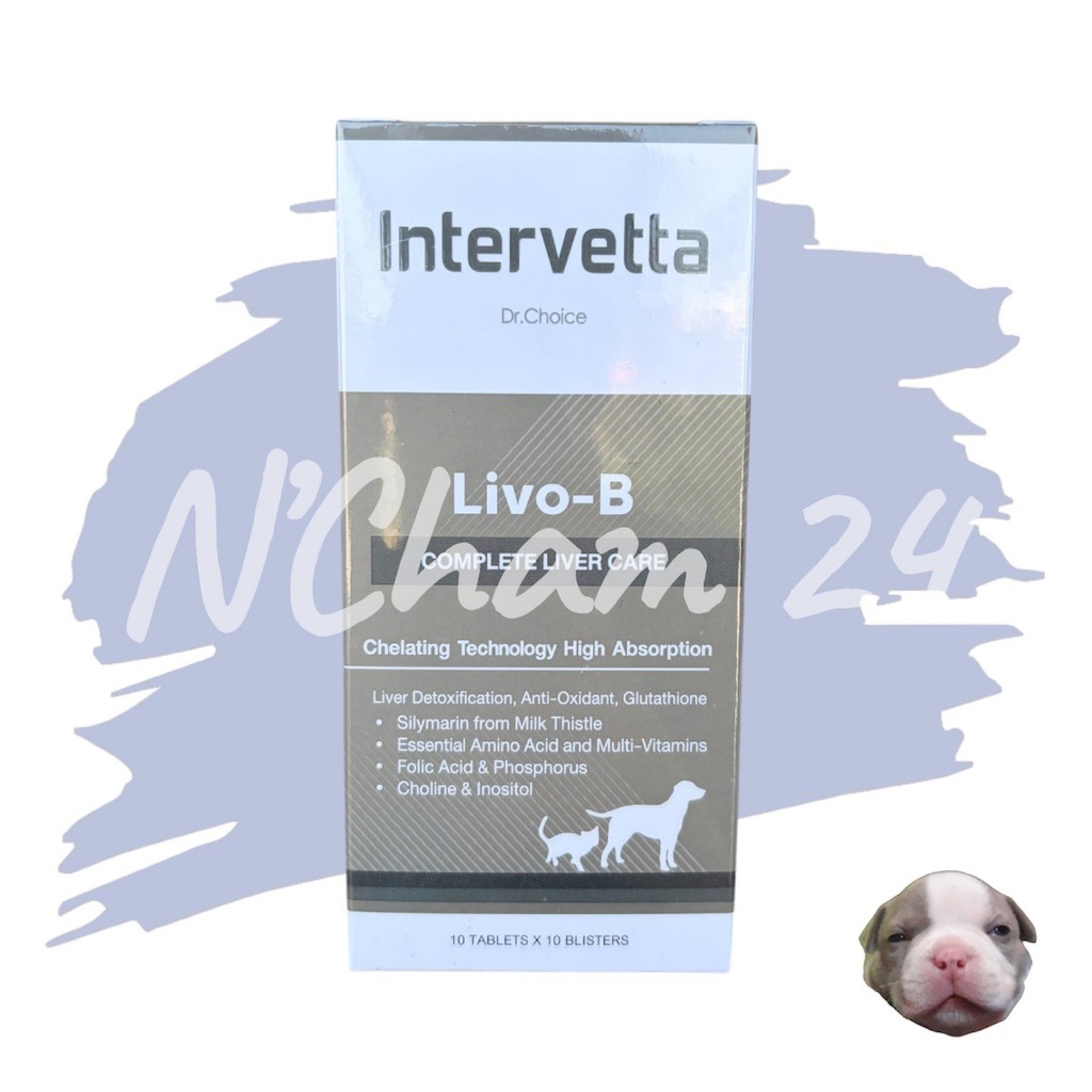 Dr.Choice Livo-B (Exp.02/2027)แบ่งขาย 1 แผง(10เม็ด)ช่วยกระตุ้นเซลล์ตับปรับค่าเอนไซม์ตับในสุนัขและแมว