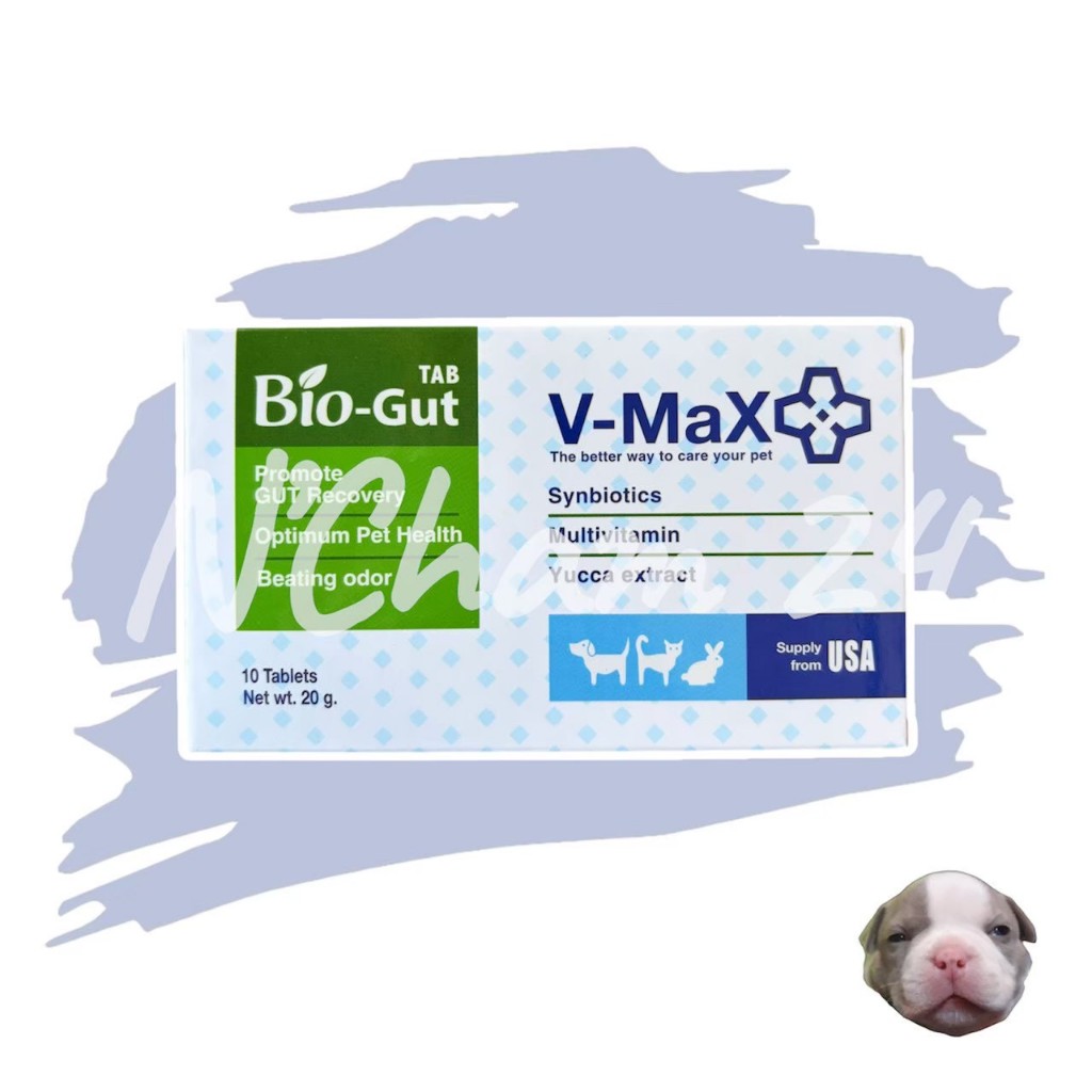 V-max Bio Gut อาหารเสริมช่วยระบบทางเดินอาหาร ช่วยแก้ปัญหาท้องเสีย บรรจุ 10 เม็ด V max biogut
