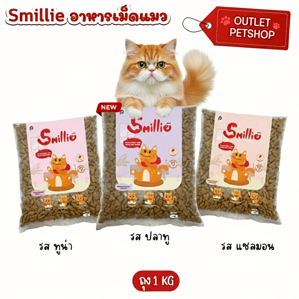 [ถุง 1kg] สไมล์ลี่ Smillie อาหารแมว รสแซลมอน รสทูน่า รสปลาทู สำหรับแมวโตทุกสายพันธุ์ โปรตีนสูงจากเนื้อสัตว์คุณภาพ