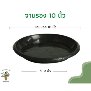 กระถางแอร์พอต เบอร์ 12 Air Pot กระถางมีรู กระถางเร่งราก สีดำเงา สีขาว (เกรดA)