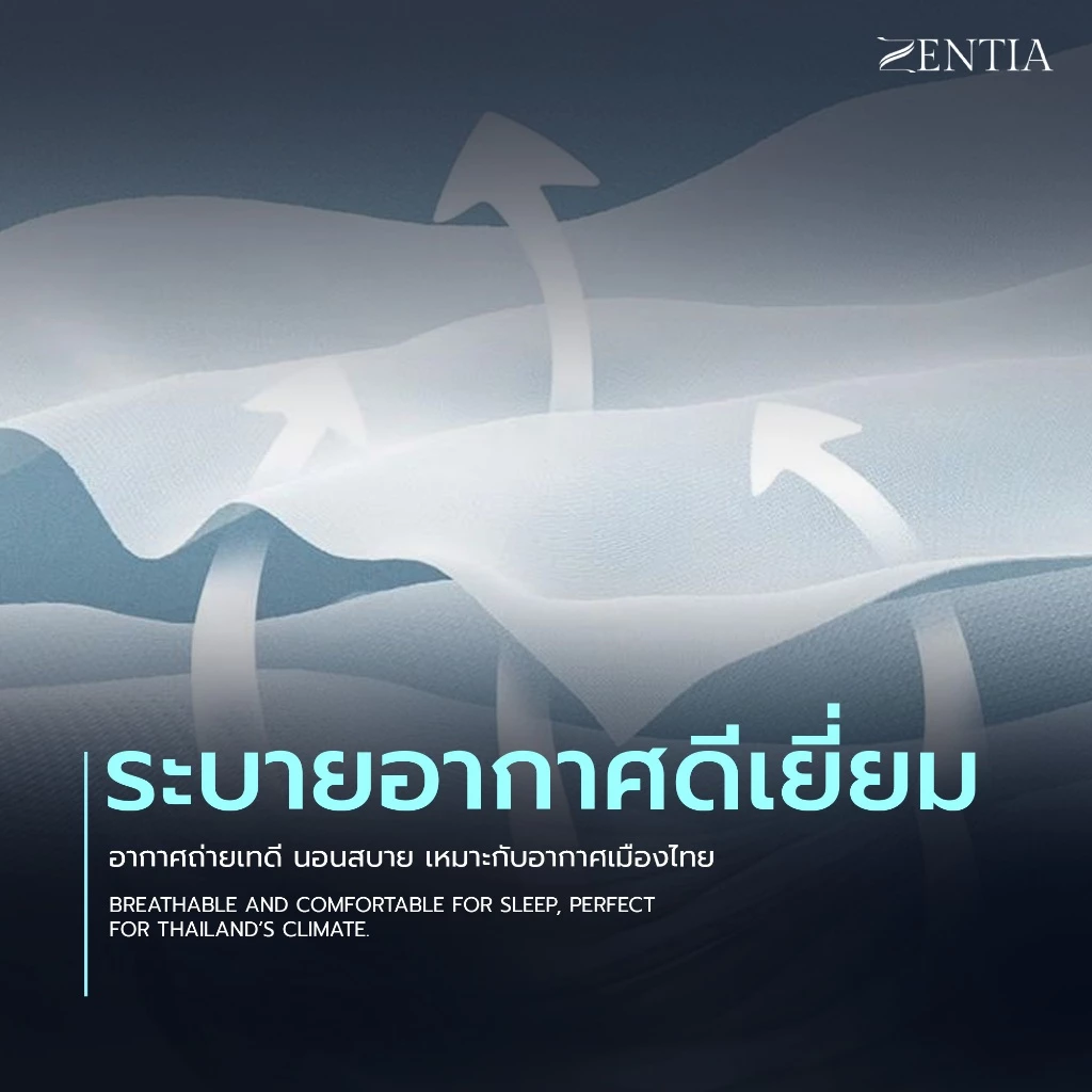 ZENTIA ชุดผ้าปู + ผ้านวม Lyocell Hypercool เยื่อไม้ธรรมชาติ กันไรฝุ่น ครบเซต 6 ชิ้น TC thumbnail 4
