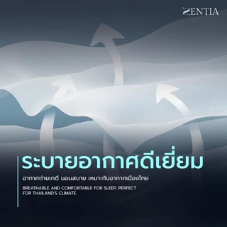 ZENTIA ชุดผ้าปู + ผ้านวม Lyocell Hypercool เยื่อไม้ธรรมชาติ กันไรฝุ่น ครบเซต 6 ชิ้น TC