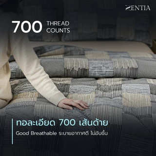 ZENTIA ชุดผ้าปู + ผ้านวม รุ่น MODERNO COTTON SUPER SOFT นุ่มสบาย สไตล์โมเดิร์น เรียบหรู [ZM]