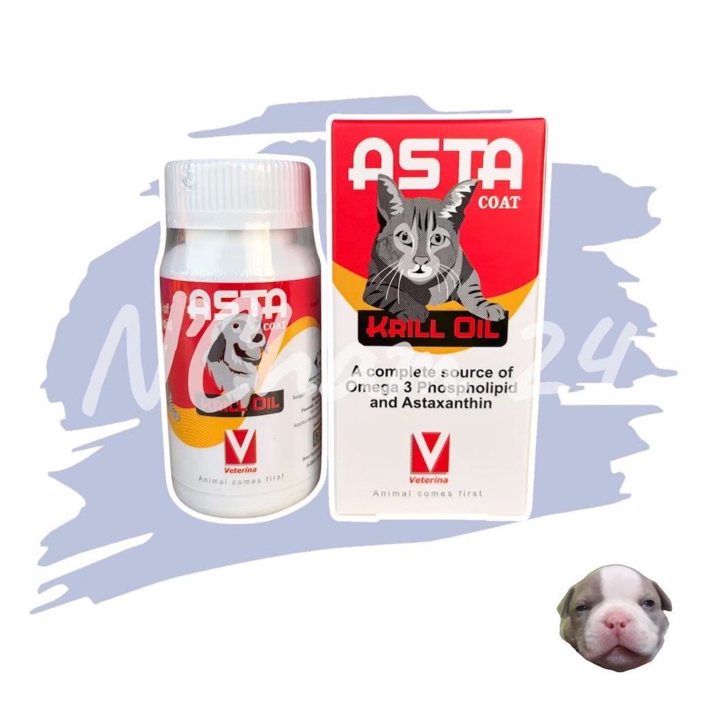 ASTA coat krill oil หมดอายุ04/2027 อาหารเสริมบำรุงผิว ช่วยในการลดอักเสบ บำรุงข้อ สำหรับสุนัขและแมว