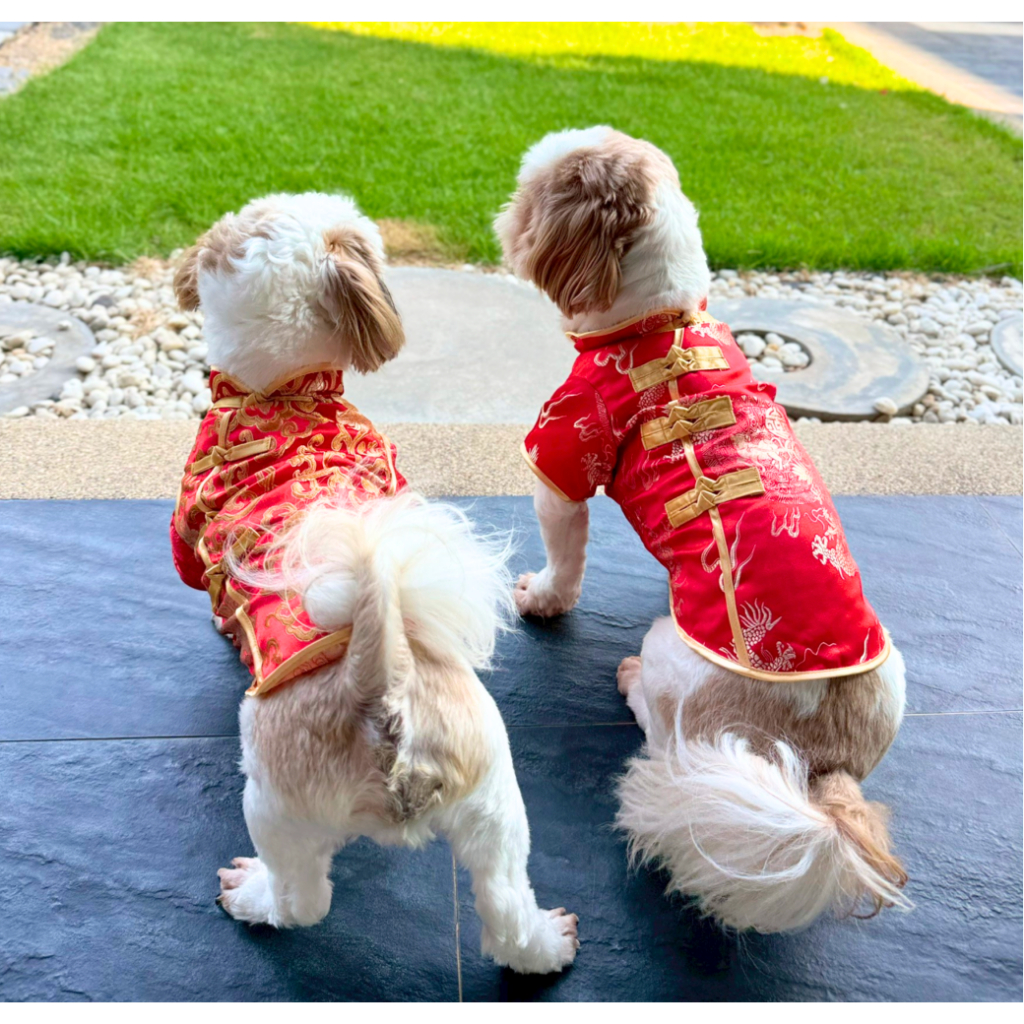 BIG DOG ชุดจีนหมาใหญ่ เสื้อและกระโปรงตรุษจีน  มีผ้าไหมมังกร ผ้าเฟอร์นุ่ม รองรับอก 38 นิ้ว พร้อมส่ง - รูปที่ 2