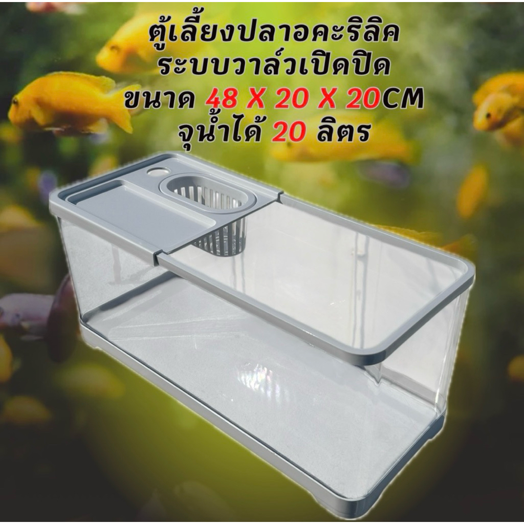 ตู้เลี้ยงปลาอะคริลิคใส อ่างเปล่า ขนาด 48x20x20 CM จุน้ำได้ 20 ลิตร มีระบบวาล์ว อ่างเลี้ยงปลาพลาสติก อ่างปลาบอลลูน อ่า