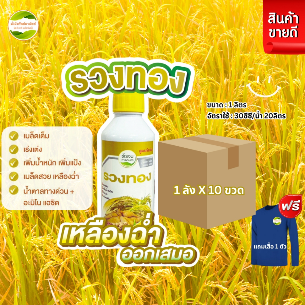 รวงทอง ยกลัง 10ขวดสุดคุ้ม!!! ขนาด 1ลิตร+แถมเสื้อ 1ตัว รับท้องรับรวงเร่งเต่งเข้าสีเพิ่มน้ำหนักเพิ่มผลผลิต 1 ขวดได้15 ไร่
