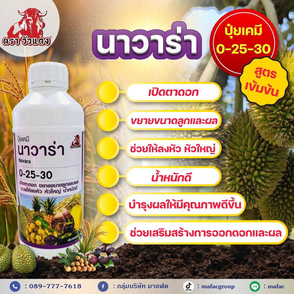 นาวาร่า 0-25-30 1 ลิตร - เป็นปุ๋ยเคมีชนิดเข้มข้นที่ปราศจากไนโตรเจนเน้นใช้สะสมอาหารเพื่อเร่งการออกดอก
