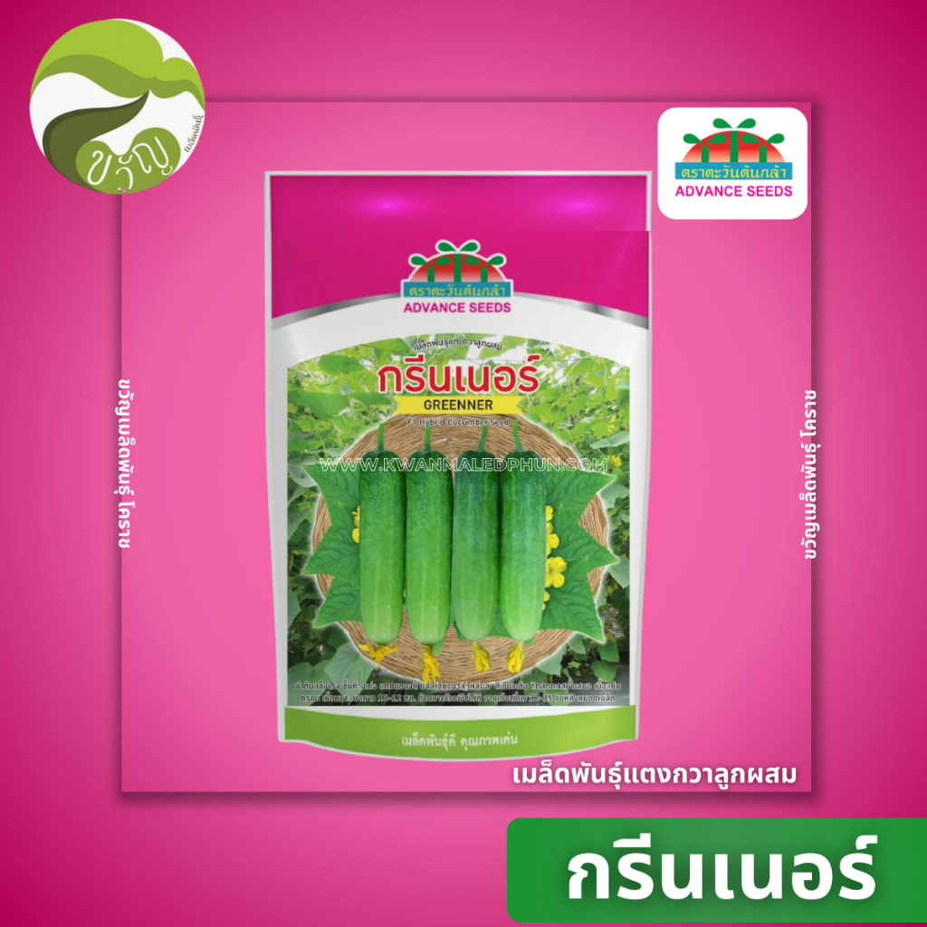 เมล็ดพันธุ์ แตงกวาลูกผสม  กรีนเนอร์  ตราตะวันต้นกล้า ลอตใหม่ล่าสุด