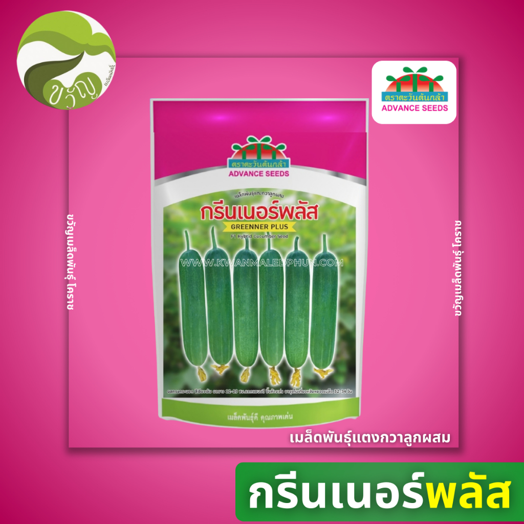 เมล็ดพันธุ์ แตงกวา ลูกผสม ตราตะวันต้นกล้า กรีนเนอร์ พลัส