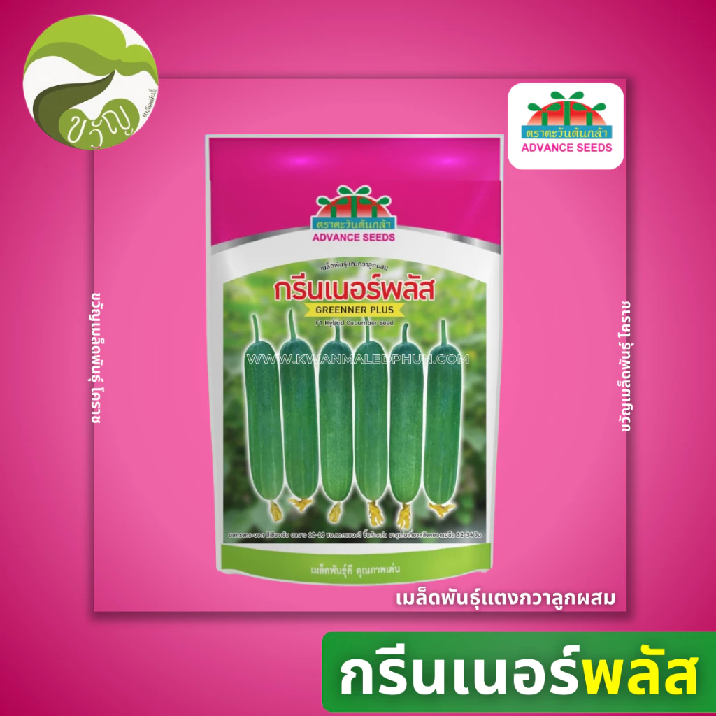 เมล็ดพันธุ์ แตงกวา ลูกผสม ตราตะวันต้นกล้า กรีนเนอร์ พลัส