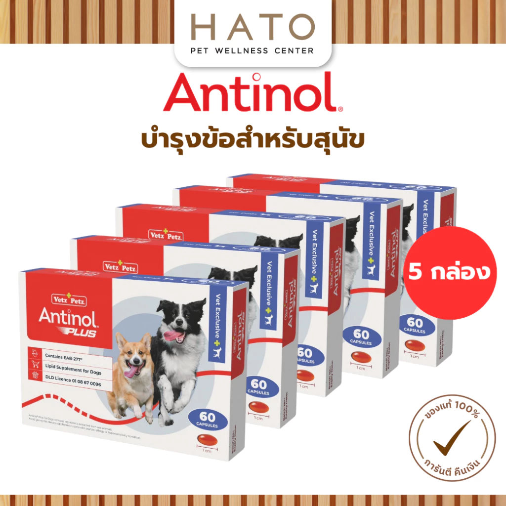 Antinol Dog แอนทินอล อาหารเสริมไขมัน บำรุงข้อ สำหรับสุนัข 5 กล่อง (300 เม็ด) Vetz Petz
