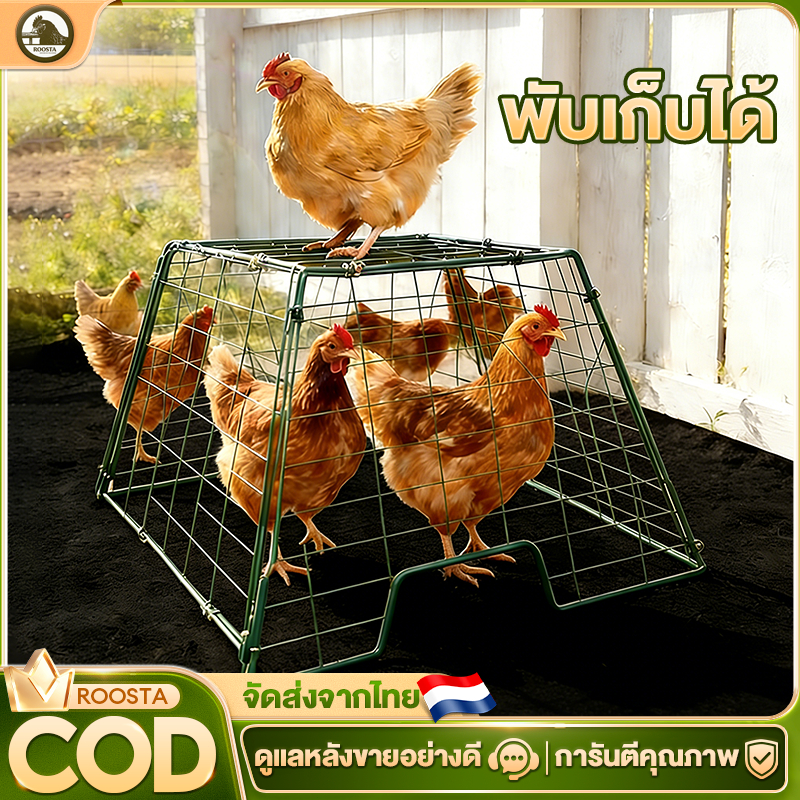กรงเป็ด กรงไก่บ้านกลางแจ้งกรงเพาะพันธุ์ขนาด กรงเป็ด ใหญ่กรงไก่กันฝนกรงไก่ลวดตาข่ายกรงไก่วิ่งกรงเป็ดกรงไก่