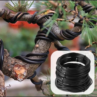 5เมตร1/2/3มิลลิเมตรสีดําบอนไซลวดอโนไดซ์อลูมิเนียมบอนไซการฝึกอบรมลวดสวน ทําเอง เครื่องมือสําหรับพืชรูปร่างสวนเครื