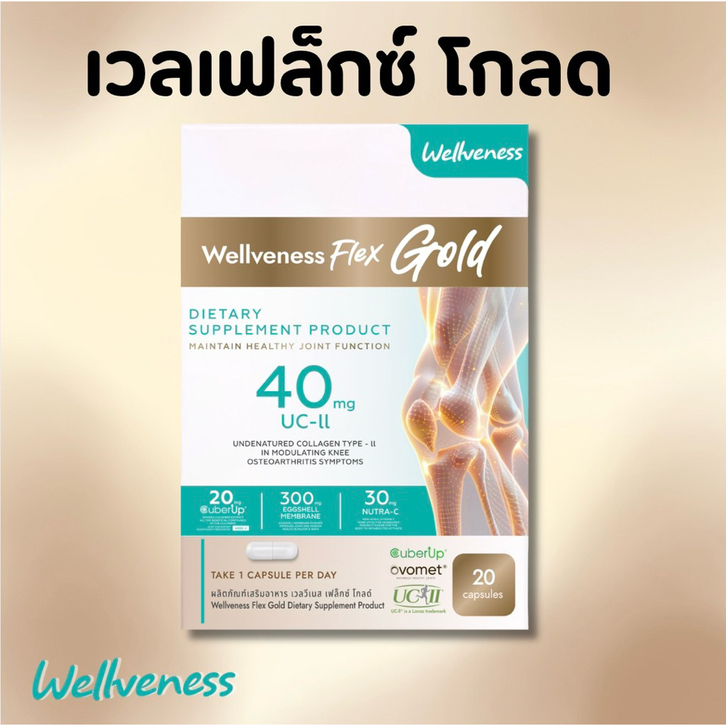 [แท้100%] Well Flex Gold สูตรใหม่ (20เม็ด)