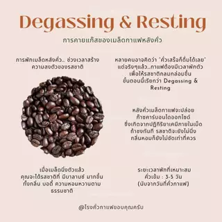 กาแฟปางขอน อราบิก้า100% คั่วเข้ม (ไม่เปรี้ยว) ขนาด 1กก. เมล็ดกาแฟคั่วดอยปางขอน Dark Roast (เมล็ดเกรดปานกลาง) ส่งฟรี