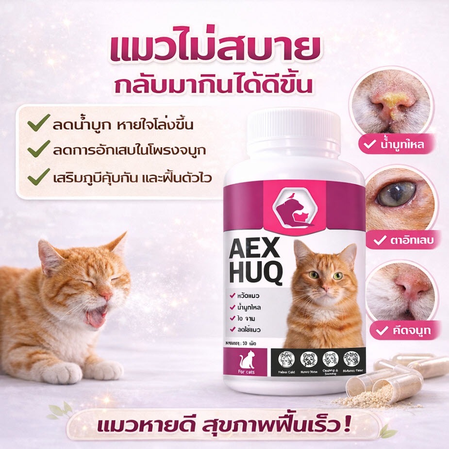 Aexhuq Dietary Supplement for Cats เสริมอาหารแมว ดูแลแมว ไม่สบาย ขี้ตา จาม เสริมภูมิแมว