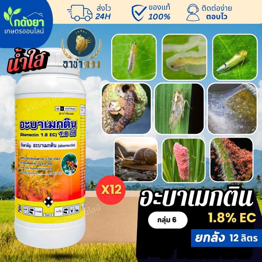 อะบา อาชาทอง ยกลัง (12ลิตร) น้ำใส สูตรเย็น