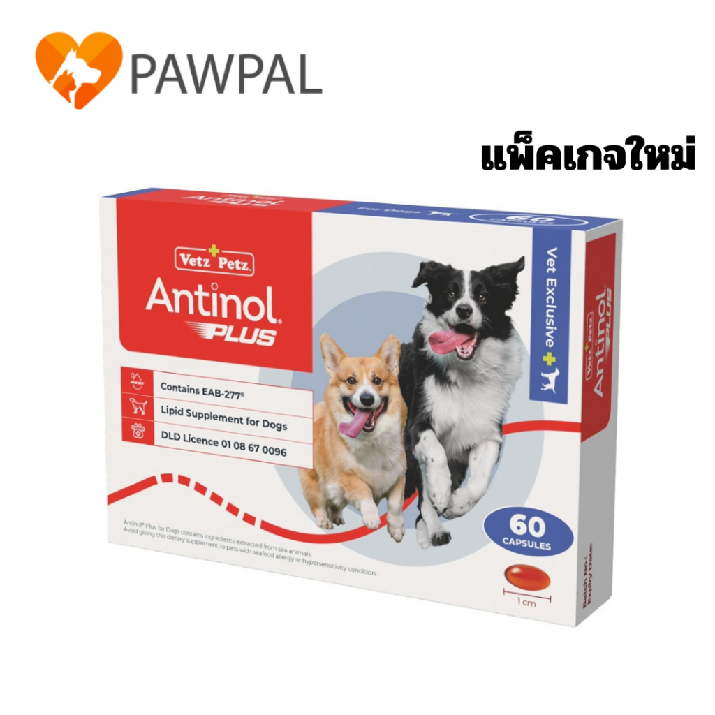 Antinol Dog   ของแท้ ล็อตใหม่ Exp.2027 อาหารเสริม บำรุงข้อ ลดอักเสบ สุนัข แมว