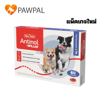 Antinol Dog ของแท้ 🔥 ล็อตใหม่ Exp.2028 อาหารเสริม บำรุงข้อ ลดอักเสบ ข้ออักเสบ สุนัข แมว