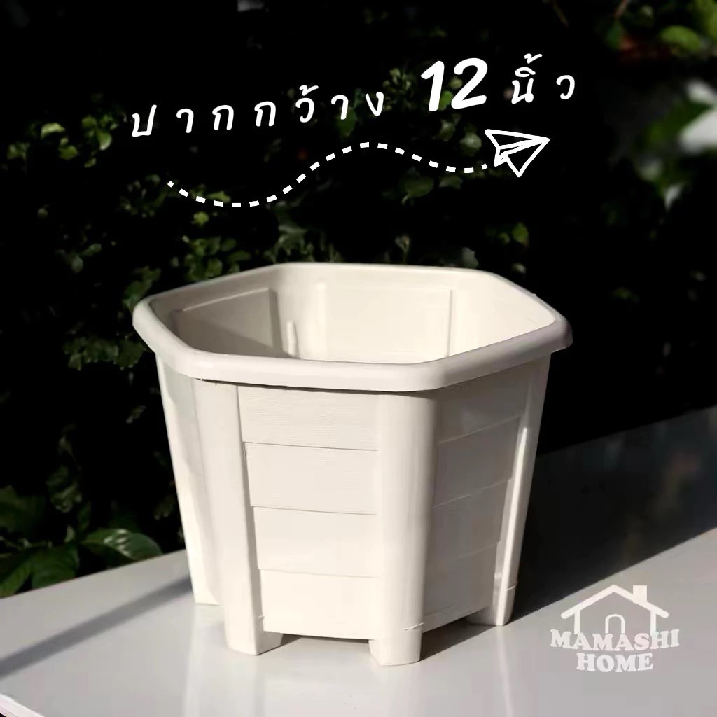 กระถางพลาสติก ขนาด 12 นิ้ว แพ็ค 5 ชิ้น 6 ชิ้น ** สั่งซื้อ1set ต่อกล่องเท่านั้น *** ทรงหกเหลี่ยม 6 เหลี่ยม สีครีม ราคา ถูกที่สุด ดีลบีเคเค รูปภาพหลัก