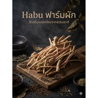 หัวเร่วสด 1 กิโลกรัม เร่ว เร่วหอม พืชสมุนไพร ต้มน้ำซุป ก๋วยเตี๋ยว