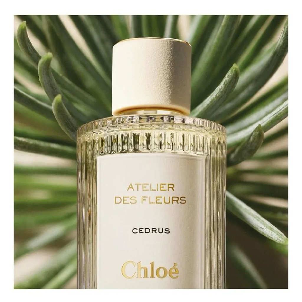 Chole Atelier des Fleurs Cedrus Eau de Parfum 50 mL