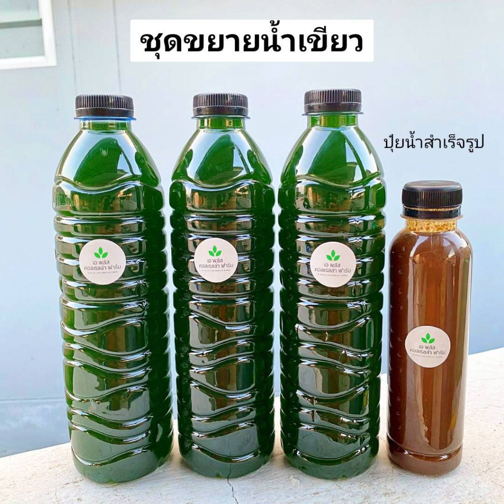 เซตขยายน้ำเขียว 600ml×3 พร้อมปุ๋ยน้ำสำเร็จรูป 250ml ทำง่าย เขียวไว