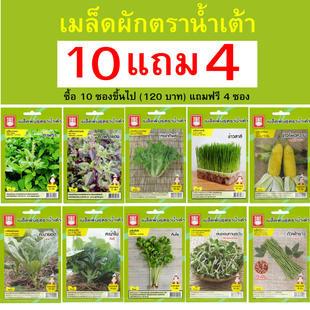 เมล็ดพันธุ์ ตราน้ำเต้า ซื้อ 10 ซอง (120 บาท)ขึ้นไปแถมฟรี 4 ซอง