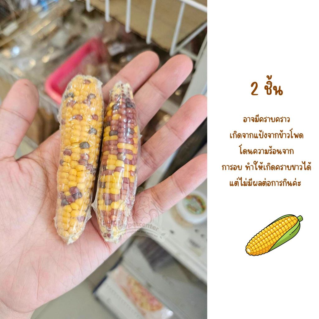 ขนมหนูแฮมสเตอร์ ชูก้าร์ไกลเดอร์ กระรอก ขนมข้าวโพดลับฟัน ของแทะเล่นสัตว์เล็ก ราคา ถูกที่สุด ดีลบีเคเค แกลเลอรีภาพที่ 7