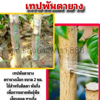 เทปพันตายาง ตรานางเงือก ใช้สำหรับติดตายางพารา เหนียว ทน ไม่ขาดง่าย ขนาด 2 cm. (จำนวน 1 ม้วน/5 ม้วน)