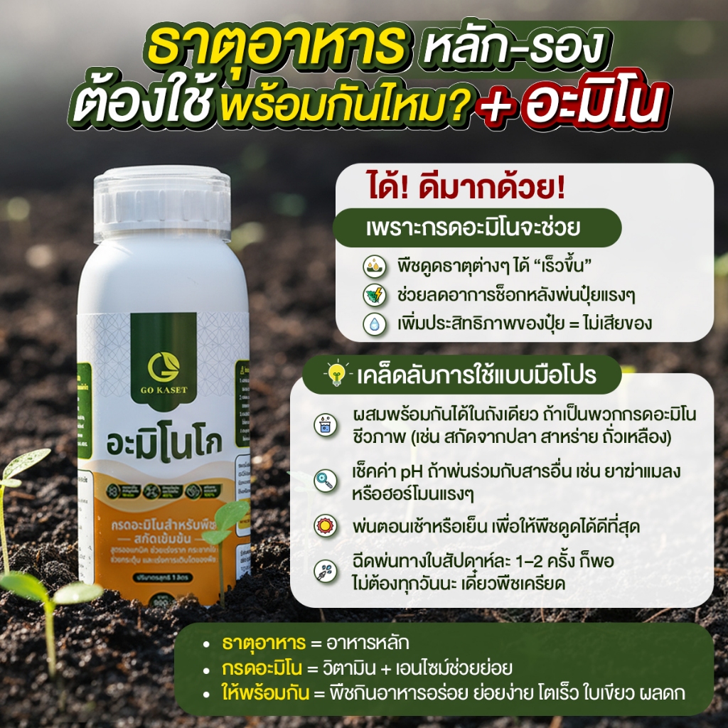 [1ขวด] อะมิโนโก(ขวดเล็ก) 500 ML - AMINO GO กรดอะมิโนสำคัญต่อพืช 19 ชนิด ปุ๋ยน้ำ ปุ๋ยกุหลาบ เร่งราก รูปที่ 7