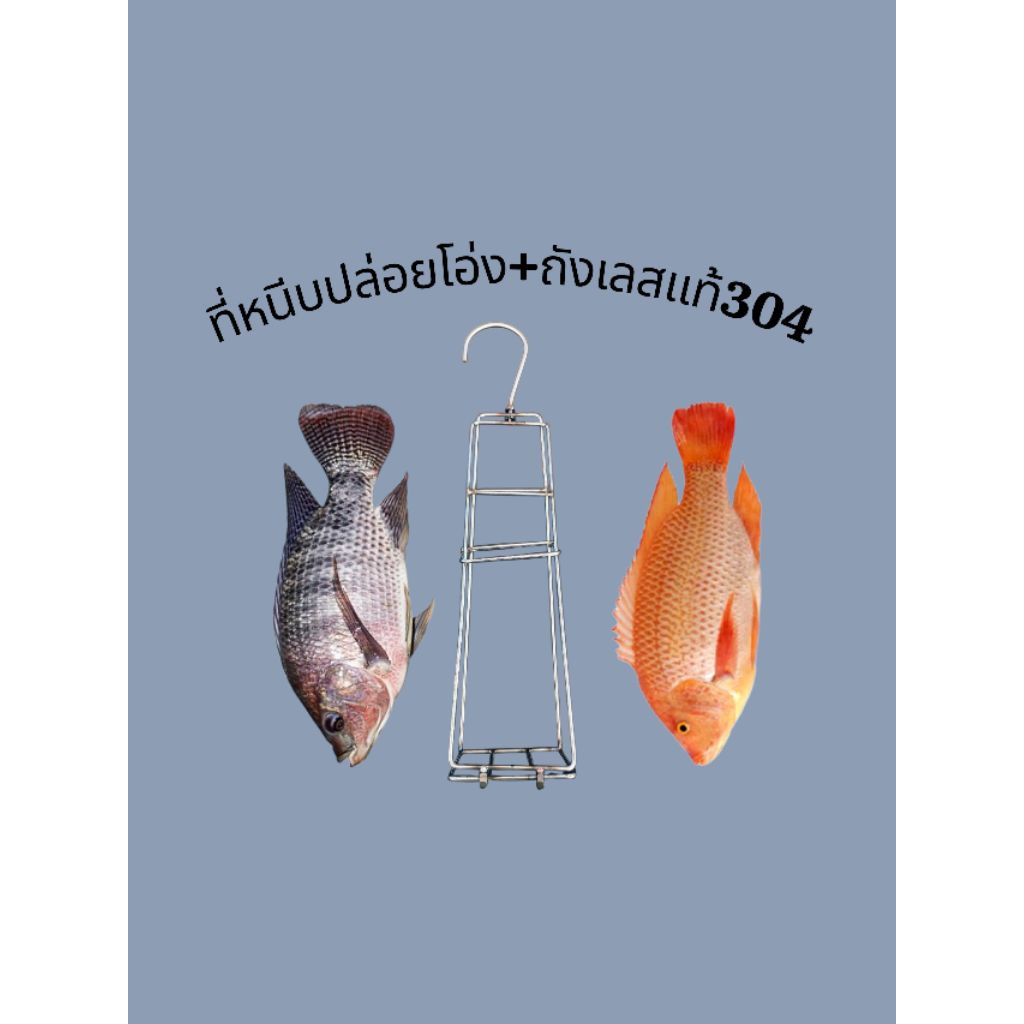 ที่หนีบปลาอบโอ่งเป็นสแตนเลสแท้304