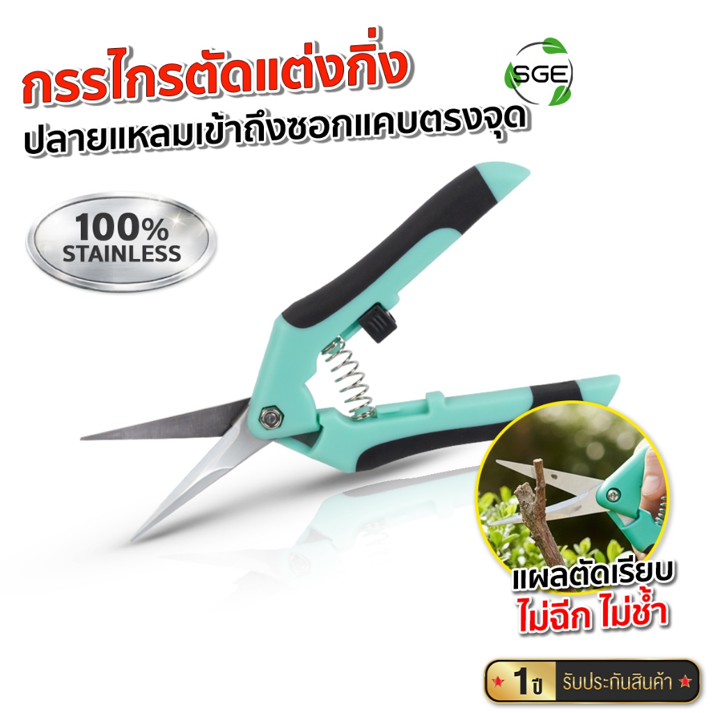 SGE กรรไกรตัดกิ่งไม้ ตัดกิ่งปากตรง ขนาด 6.5 นิ้ว แผลตัดเรียบ ไม่ฉีก ไม่ช้ำ ตอบโจทย์งานที่ต้องการความละเอียดสูง