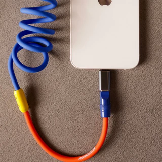 [ใหม่] ตัวแปลง Type C To L / Type C To USB 3.1
